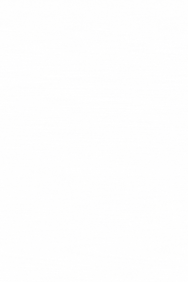 spot_img