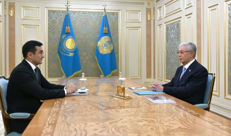 Мемлекет басшысы «Бәйтерек» холдингінің басқарма төрағасын қабылдады