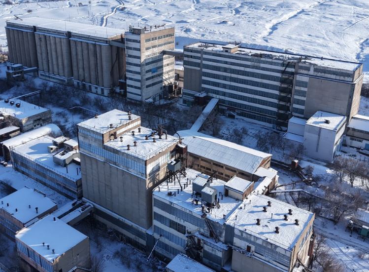 Түркістан облысында бидай өңдейтін зауыт іске қосылды