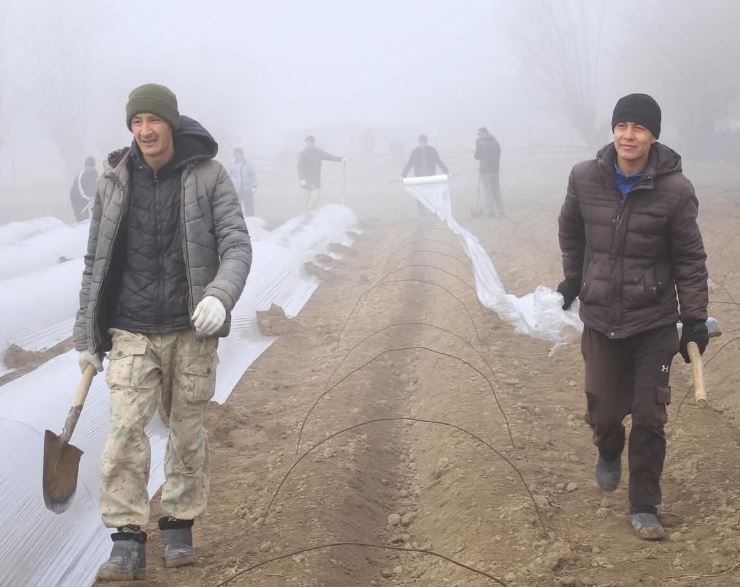 Түркістан облысында егістік жұмыстары басталды